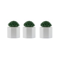 Tiki Brand 3-Pack Table Torch Glass Succulent White - Outdoor Table Top Lighting For Patio Lawn Backyard, 5.5 In, 1120165