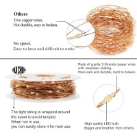 Ruichen Copper Wire 66 Ft 200 Led Twinkle String Fairy Lights Plug In With Remote, Warm White