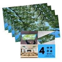 Shademagic 4 Pack Fluorescent Light Covers 2X4 Film Insert For Ceiling Light Diffuser Panels Tree Design Classrooms An