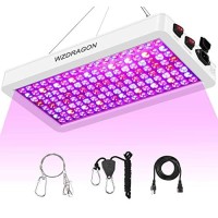 Wzdragon 2023 Upgraded 2000W Led Grow Lights Double Chips Full Spectrum For Greenhouse And Indoor Plant Veg And Flower Growing [White]