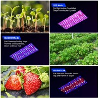 Wzdragon 2023 Upgraded 2000W Led Grow Lights Double Chips Full Spectrum For Greenhouse And Indoor Plant Veg And Flower Growing [White]