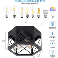 Saipis Black Flush Mount Ceiling Light,11.8 Inch Industrial Farmhouse Ceiling Light Fixture,2-Light Metal Cage Closed To Ceiling Mount Lamp For Hallway Kitchen Bedroom,E26 Base