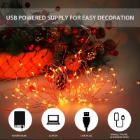 Ariceleo Halloween Usb Led Fairy String Light 1 Pack Copper Wire Fairy Lights For Indoor Bedroom Festival Christmas Wedding Pa