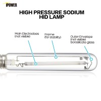 Ipower Glbulbh400X2V1 400 Watt High Pressure Sodium Full Spectrum Grow Light Lamp Hps Bulb For Plants, 400W, Cct 2100K, Ultra Bright 55,000 Lumens