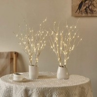 Fudios Lighted Birch Branches 18In 70 Warm White Led With Timer Twig Lights Battery Operated For Christmas Wedding Party Decoration(2 Set)