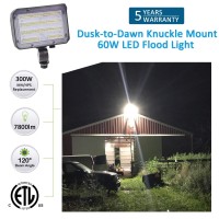 60w led flood light