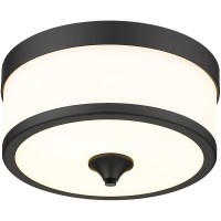 This stylish modern threelight flushmount ceiling light from the Cosmopolitan collection offers a touch of Art Deco flavor adding simplicity with a twist to a kitchen dining space or bedroom An etched milk white shade is trimmed with bold matte black fini