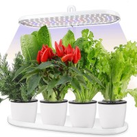 Diglab Indoor Garden Led Grow Light:Herb Seeds Kitchen Garden Grow Kit - House Plant Growing Lamps Growing System With Timer