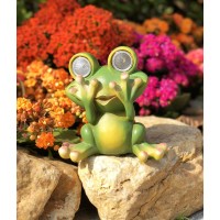 Tiblen Solar Powered Frog Outdoor Led Garden Light Decor See No