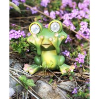 Tiblen Solar Powered Frog Outdoor Led Garden Light Decor See No