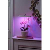 Auraglow Led Plant Grow Light With Hydroponic Full Spectrum Grow Mode & Display Lamp For Herbs, Fruit, Veg & Indoor Plants