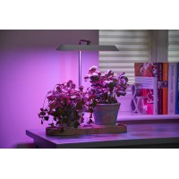 Auraglow Led Plant Grow Light With Hydroponic Full Spectrum Grow Mode & Display Lamp For Herbs, Fruit, Veg & Indoor Plants