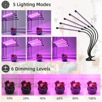 Grow Light Plant Lights For Indoor Plants Full Spectrum Led Growing Lamps With Timer For House Greenhouse Seed Starting Succulent Growth Garden Seedlings (5 Heads)