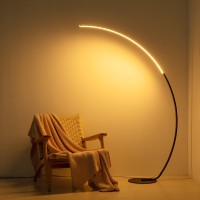 Arc Floor Lamp, 67