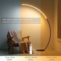 Arc Floor Lamp, 67