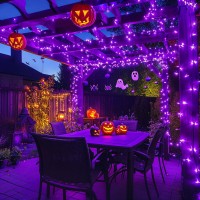 Jmexsuss 2 Pack Purple Solar Lights Outdoor Waterproof 100 Led 427Ft Purple Halloween Lights 8 Modes Solar Halloween Lights