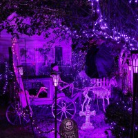 Jmexsuss 2 Pack Purple Solar Halloween Lights Outdoor 66Ft 200 Led Solar Fairy Lights Outdoor Waterproof 8 Modes Solar String