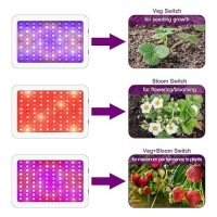 Led Grow Lights 1000 Watt Led Full Spectrum Sunlike Growing Lamp For Indoor Plant With Daisy Chain Function Temperature Humidit