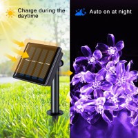 Jmexsuss 2 Pack Purple Solar Flower String Lights Each 306Ft 50 Led Solar Powered Christmas Lights Outdoor Waterproof 8 Modes