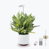 Led Grow Lights For Indoor Plants Smart Usb Small Full Spectrum Plant Lights With Remote Height Adjustable Auto Onoff Timer