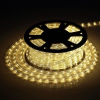 Tuanchuanrp 100Ft Led Rope Lights Outdoor 110V Outdoor String Lights Waterproof Ideal For Eavesbackyards Gardenhalloween Ch