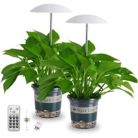 Led Grow Lights For Indoor Plants 2 Pack Smart Full Spectrum Usb Small Plant Lights With Remote Height Adjustable Auto Onoff