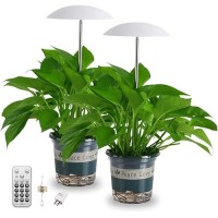 Led Grow Lights For Indoor Plants 2 Pack Smart Full Spectrum Usb Small Plant Lights With Remote Height Adjustable Auto Onoff