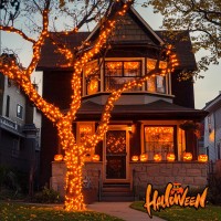 Jmexsuss Orange Battery Operated Halloween Lights 33Ft 100 Led Battery Operated Christmas String Lights Orange Twinkle Mini Li