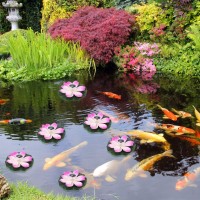 Fdit Solar Pond Lights, 7 Color Changing Led Light Solar Floating Lights Swimming Pool Pond Floating Decoration (Pink)