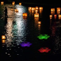 Fdit Solar Pond Lights, 7 Color Changing Led Light Solar Floating Lights Swimming Pool Pond Floating Decoration (Pink)