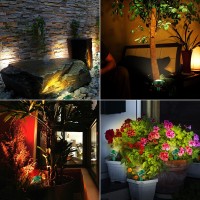 Bigmonat Cordless Landscape Light Rechargeable Color Changing Planter Spotlight Indoor Outdoor Rgb Garden Lighting With Remote