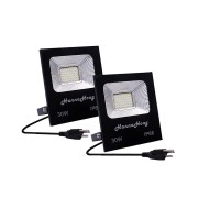 Hannahong 2 Pack 30W Led Flood Lights With Plug,3000Lm Super Bright Security Lights,Ip66 Waterproof Outdoor Work Light,6000K Daylight White Spotlight For Eave,Porch,Garage,Patio,Yard,Garden,Lawn