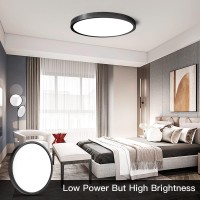 Roomrtv Black Flush Mount Ceiling Mount, 12Inch Led Ceiling Light, 5000K Round Ceiling Light Fixtures For Kitchen, Bedroom, Living Room, Hallway, Office, Non Dimmable