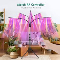 Ambor Grow Lights For Indoor Plants With Stand, [5-Heads] Floor Plant Light, 150W Full Spectrum Led Plant Grow Lamp With 4 8 12H Timer, 10 Dimmable Brightness, Remote Control And Auto On/Off