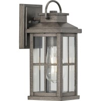 Progress Lighting Williamston Collection 1-Light Clear Glass Antique Pewter Farmhouse Outdoor Small Wall Lantern Light, Gray, 12.00X5.00X6.00