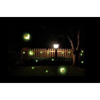 Wskvlcg Solar Powered Firefly Lights, 9 Led Firefly Automated Pulsating String Light Chasing Firefly Lights Lantern Solar Outdoor Waterproof(2 Pack)