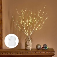 Birchlitland Lighted Birch Branches With Timer Battery Operated 18In 70L Warm White Led Fairy Lights Artificial Decorative Bran