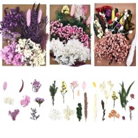 Dalaran 3 Packs Natural Dried Flowers Leaves Set Dried Flowers For Resin Mixed Colorful Real Dry Flower For Diy Candle Jewelry Pendant Crafts Floral Decoration