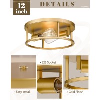 Hanass Gold Flush Mount Ceiling Light Fixture 12 Inch Modern Gold Finish 2Light Dimmable Quick Installation Perfect For Li