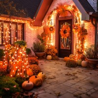 Jmexsuss 600 Led Orange Lights Outdoor Waterproof Orange Halloween Outdoor String Lights Plug In Orange Christmas Fall Lights F