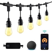 Hbn 96Ft Outdoor String Lights-Smart Outside String Lights-48 Led Bulbs Dimmable & Shatterproof, 2.4Ghz Wi-Fi & Bluetooth App Control, Works With Alexa/Google Assistant, Ip65 Waterproof & Extendable