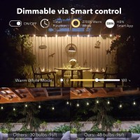 Hbn 96Ft Outdoor String Lights-Smart Outside String Lights-48 Led Bulbs Dimmable & Shatterproof, 2.4Ghz Wi-Fi & Bluetooth App Control, Works With Alexa/Google Assistant, Ip65 Waterproof & Extendable