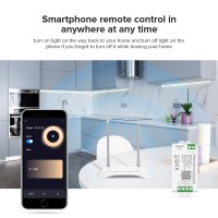 Btf-Lighting C01W Monochrome Pwm (+V -V) 2Pin Led Strip Dim Brightness 2.4Ghz Tuya Wifi Group Controller Alexa Google Home Smartphone App Control Compatible With Wr02Rf Rc01Rfb Dim Remote