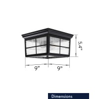 Coramdeo French Pane Square 2 Light Ceiling Mount Farmhouse Fixture Indoor Or Outdoor Two Standard Sockets Open Bottom Damp