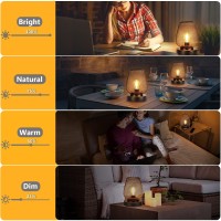 Ubright 2 Pack Battery Operated Lights Rechargeable Outdoor Table Lamp Metal Cage With 4 Lighting Mode Outdoor Lantern Cordless Lamp Indoor Outdoor Patio Bedroom Living Room (Bulb Included) Bronze