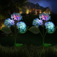 Doingart Outdoor Solar Lights, 2 Pack Hydrangea Solar Garden Lights With 3 Hydrangea Flowers, Waterproof Realistic And Muti-Color Change Outdoor Lights For Garden Lawn Backyard Decoration (Blue)