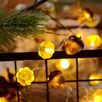 Belniak Harvest Decor Decorative Fairy String Lights Acorn Pumpkin Lights Autumn Garland Novelty Lights 30 Leds 10 Ft Battery Operated For Bedroom Wedding Birthday Harvest Decor