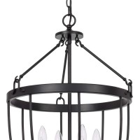 Chandelier With Metal Bird Cage Pendulum Design, Black