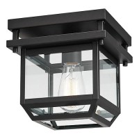 Globe Electric 44779 Sorrell 1Light Outdoor Flush Mount Ceiling Light Dark Bronze Clear Glass Shade Brown Bulbs Not Included