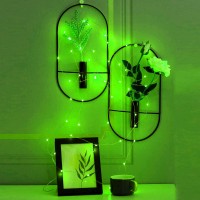 Ariceleo Mini St Patricks Day Fairy Lights Battery Operate 1 Pack Copper Wire 3Aaa Battery Powered Led Starry Fairy String L